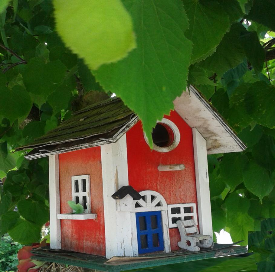 Ferienwohnung Holl Worms Exteriér fotografie